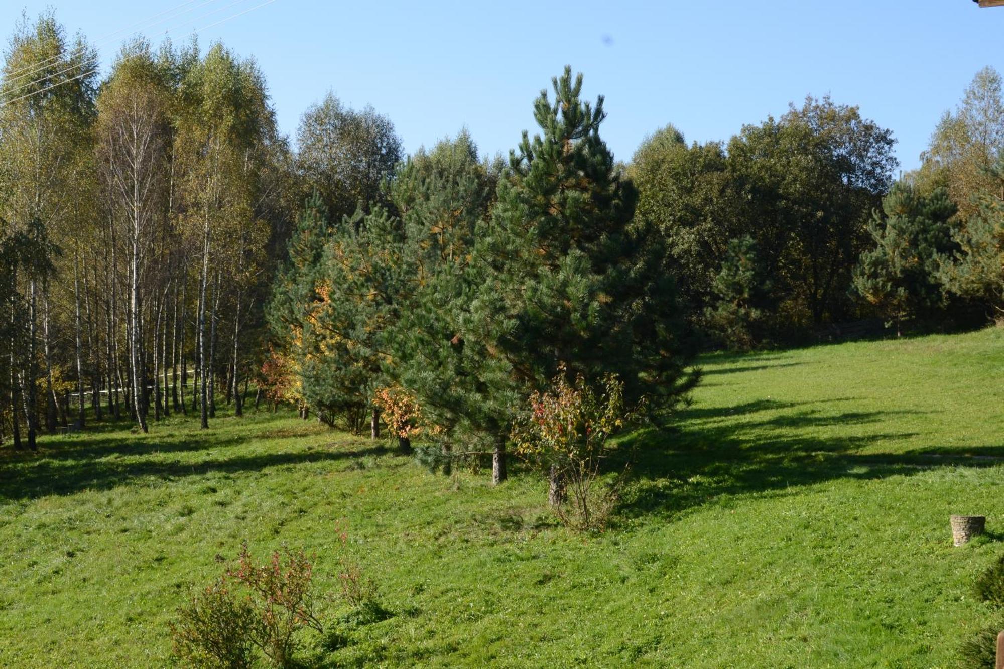 Chata Mioduszyna W Beskidach - Drewniany Dom Z Widokiem Na Babia Gore Villa Makow Podhalanski Exteriör bild